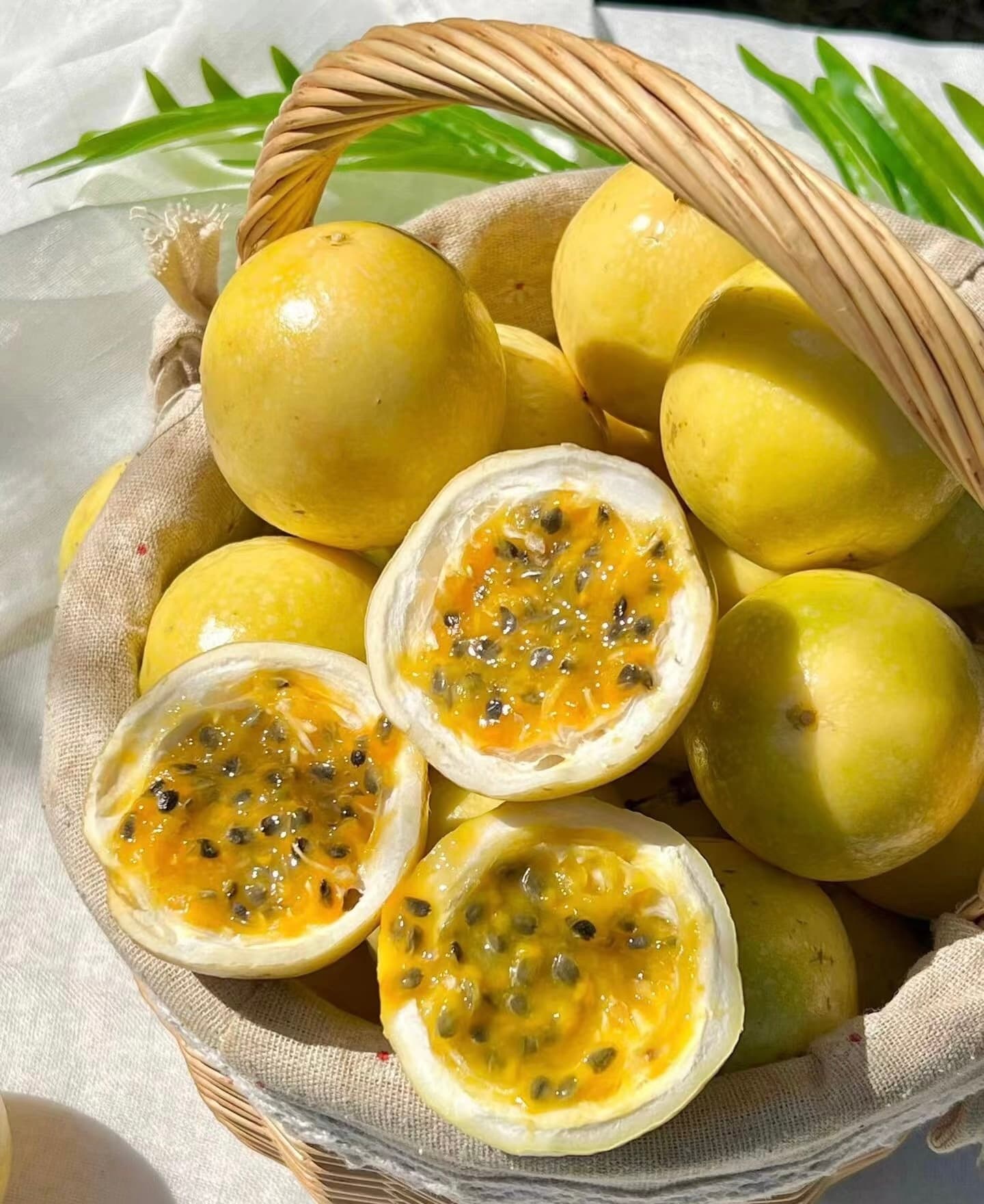 黄金百香果